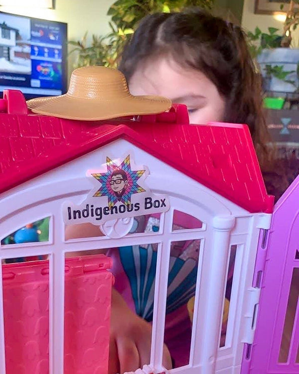Representation - Indigenous Box