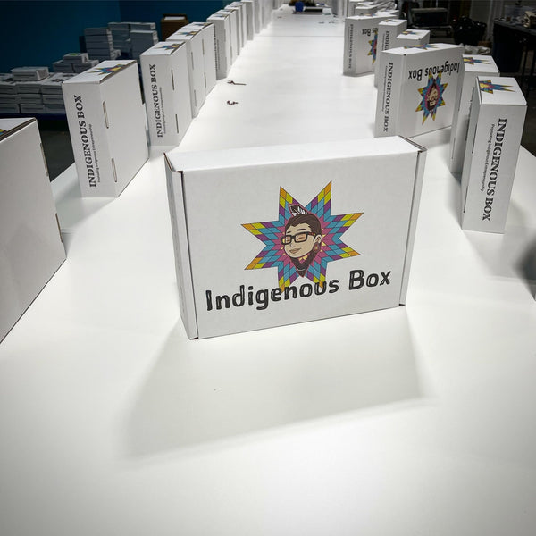 Sixth month reflection - Indigenous Box
