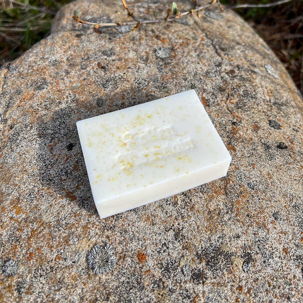 Fallen Mountain Wild - Harvested Soap Bar - Indigenous Box