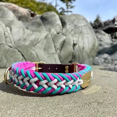 Summit Dogwear Shaka Collar - Indigenous Box